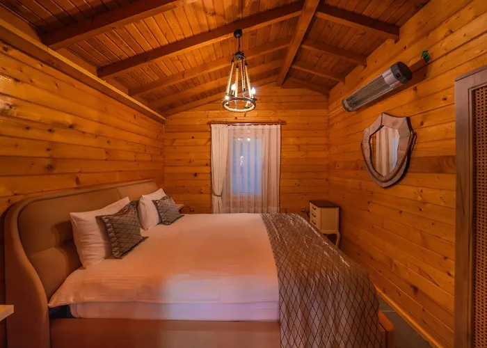 Alfa & 5* سبانجا